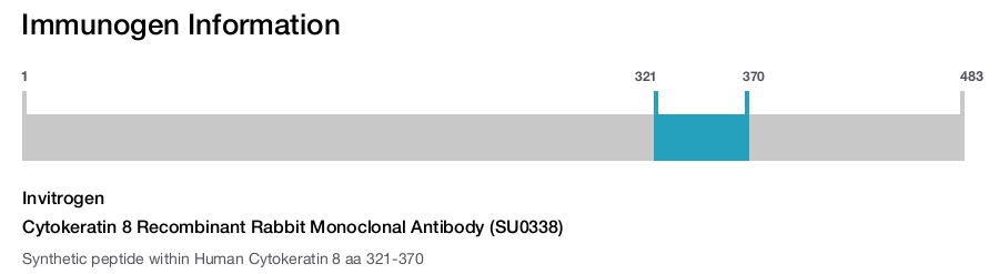 Cytokeratin 8 Recombinant Rabbit Monoclonal Antibody (SU0338)