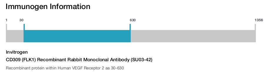 CD309 (FLK1) Recombinant Rabbit Monoclonal Antibody (SU03-42)
