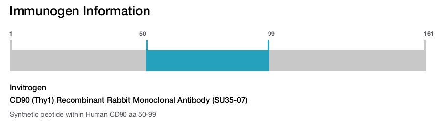 CD90 (Thy1) Recombinant Rabbit Monoclonal Antibody (SU35-07)