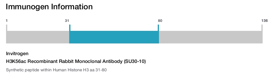 H3K56ac Recombinant Rabbit Monoclonal Antibody (SU30-10)