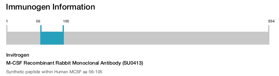 M-CSF Recombinant Rabbit Monoclonal Antibody (SU0413)