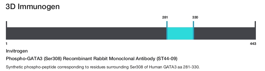 Phospho-GATA3 (Ser308) Recombinant Rabbit Monoclonal Antibody (ST44-09)