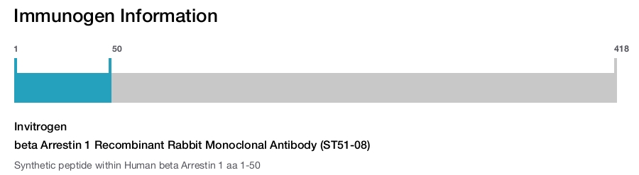beta Arrestin 1 Recombinant Rabbit Monoclonal Antibody (ST51-08)