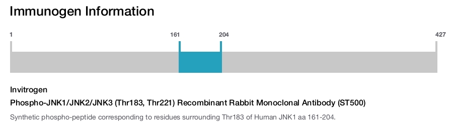 Phospho-JNK1/JNK2/JNK3 (Thr183, Thr221) Recombinant Rabbit Monoclonal Antibody (ST500)