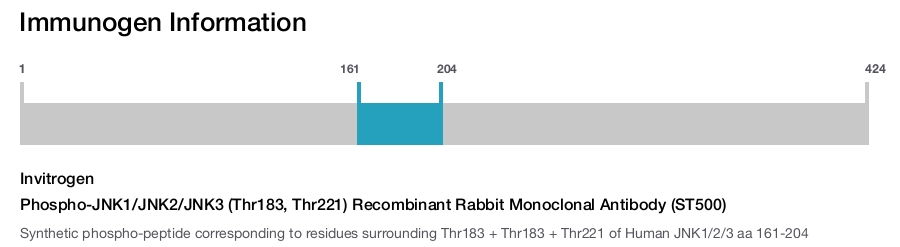 Phospho-JNK1/JNK2/JNK3 (Thr183, Thr221) Recombinant Rabbit Monoclonal Antibody (ST500)
