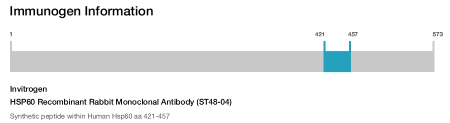 HSP60 Recombinant Rabbit Monoclonal Antibody (ST48-04)