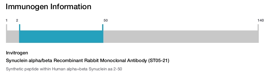 Synuclein alpha/beta Recombinant Rabbit Monoclonal Antibody (ST05-21)