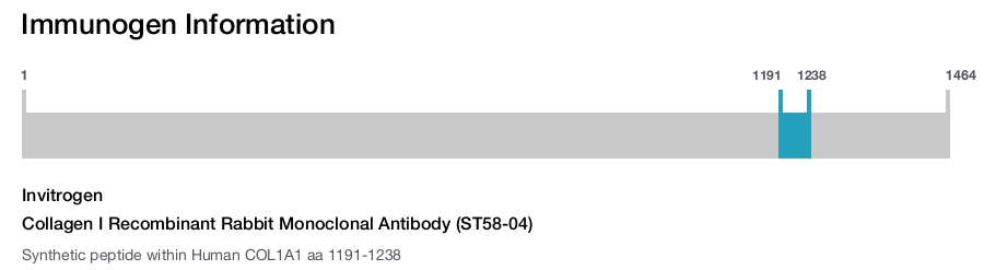 Collagen I Recombinant Rabbit Monoclonal Antibody (ST58-04)