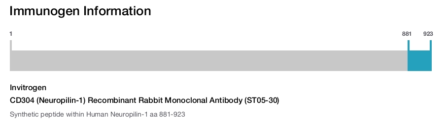CD304 (Neuropilin-1) Recombinant Rabbit Monoclonal Antibody (ST05-30)