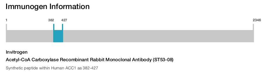 Acetyl-CoA Carboxylase Recombinant Rabbit Monoclonal Antibody (ST53-08)