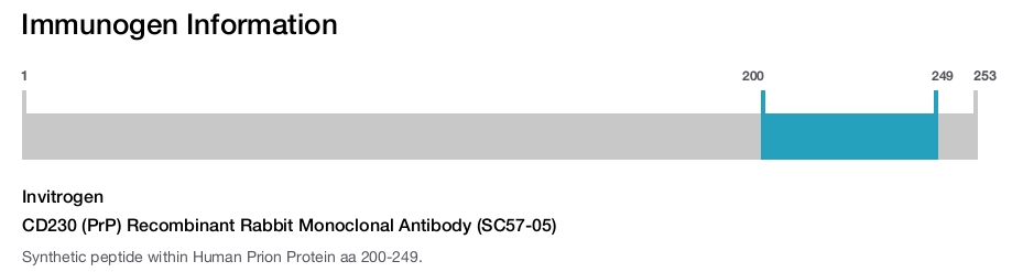 CD230 (PrP) Recombinant Rabbit Monoclonal Antibody (SC57-05)