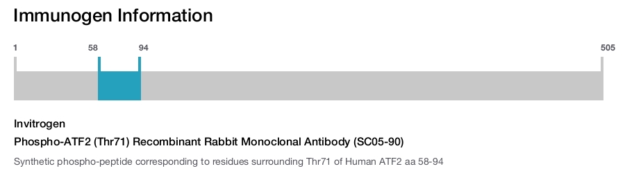 Phospho-ATF2 (Thr71) Recombinant Rabbit Monoclonal Antibody (SC05-90)