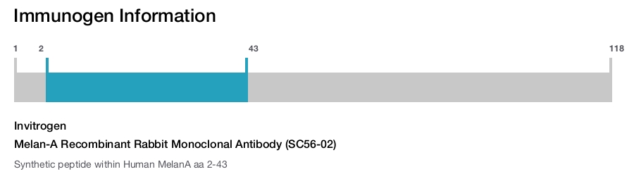 Melan-A Recombinant Rabbit Monoclonal Antibody (SC56-02)