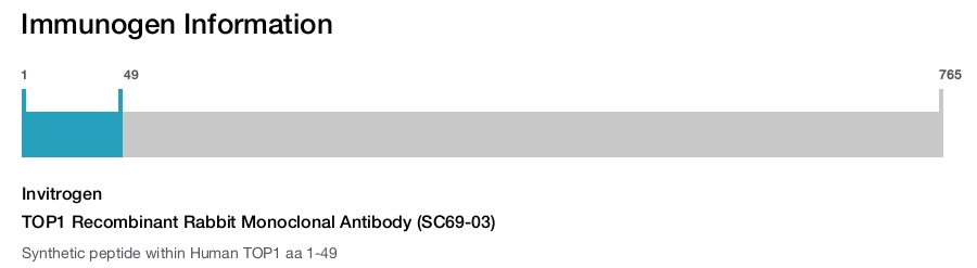 TOP1 Recombinant Rabbit Monoclonal Antibody (SC69-03)