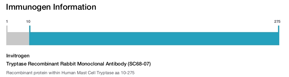 Tryptase Recombinant Rabbit Monoclonal Antibody (SC68-07)