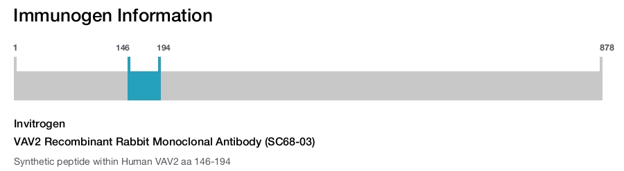 VAV2 Recombinant Rabbit Monoclonal Antibody (SC68-03)