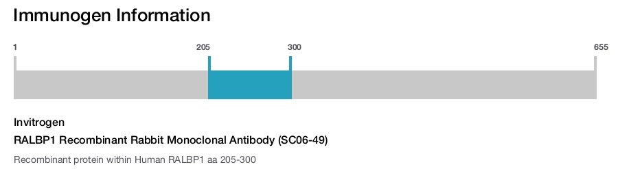 RALBP1 Recombinant Rabbit Monoclonal Antibody (SC06-49)