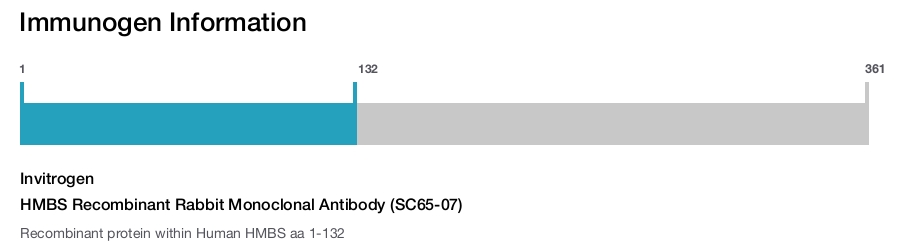 HMBS Recombinant Rabbit Monoclonal Antibody (SC65-07)