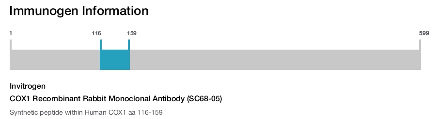 COX1 Recombinant Rabbit Monoclonal Antibody (SC68-05)