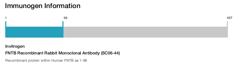 FNTB Recombinant Rabbit Monoclonal Antibody (SC06-44)
