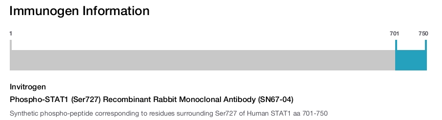 Phospho-STAT1 (Ser727) Recombinant Rabbit Monoclonal Antibody (SN67-04)
