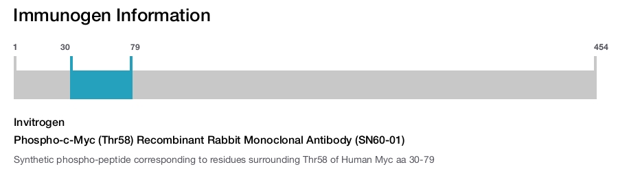 Phospho-c-Myc (Thr58) Recombinant Rabbit Monoclonal Antibody (SN60-01)