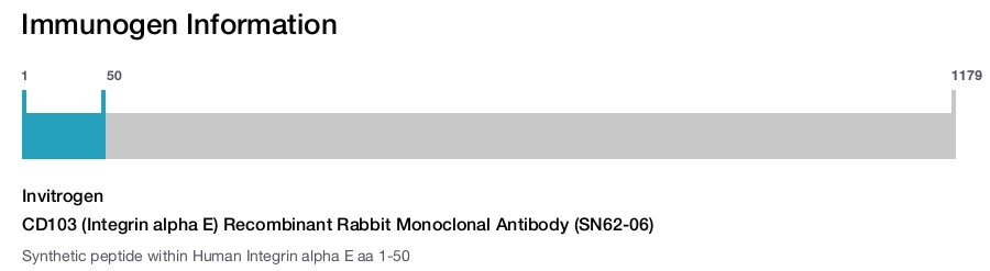 CD103 (Integrin alpha E) Recombinant Rabbit Monoclonal Antibody (SN62-06)