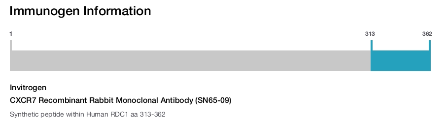 CXCR7 Recombinant Rabbit Monoclonal Antibody (SN65-09)