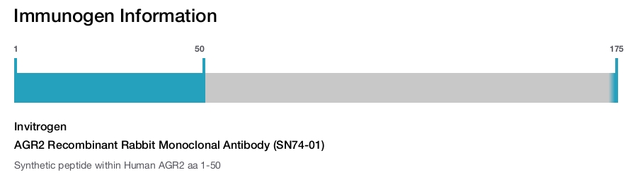AGR2 Recombinant Rabbit Monoclonal Antibody (SN74-01)