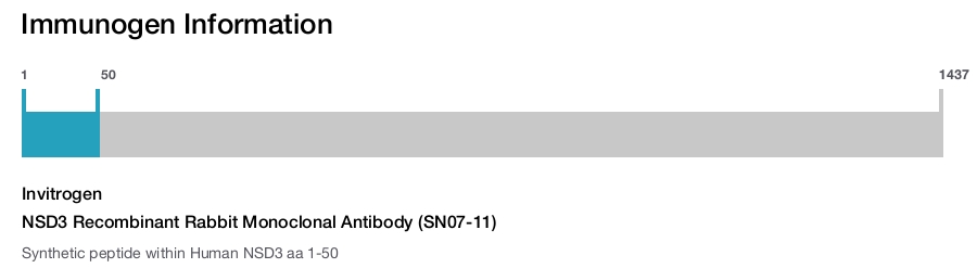 NSD3 Recombinant Rabbit Monoclonal Antibody (SN07-11)