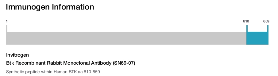 Btk Recombinant Rabbit Monoclonal Antibody (SN69-07)
