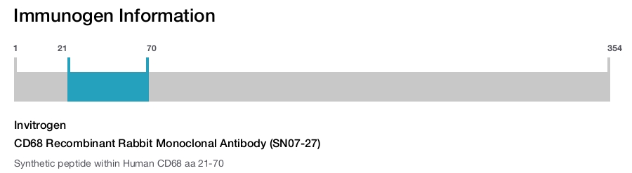 CD68 Recombinant Rabbit Monoclonal Antibody (SN07-27)