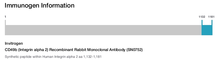 CD49b (Integrin alpha 2) Recombinant Rabbit Monoclonal Antibody (SN0752)