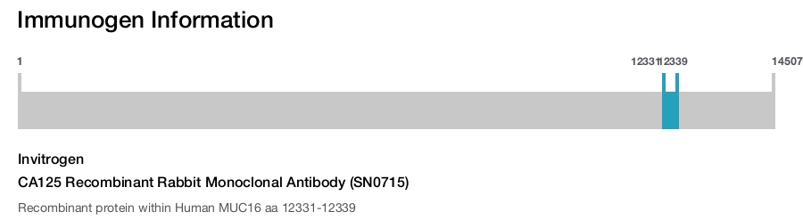 CA125 Recombinant Rabbit Monoclonal Antibody (SN0715)