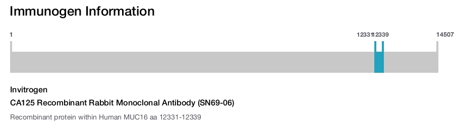 CA125 Recombinant Rabbit Monoclonal Antibody (SN69-06)