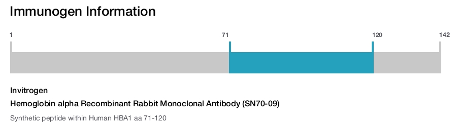 Hemoglobin alpha Recombinant Rabbit Monoclonal Antibody (SN70-09)