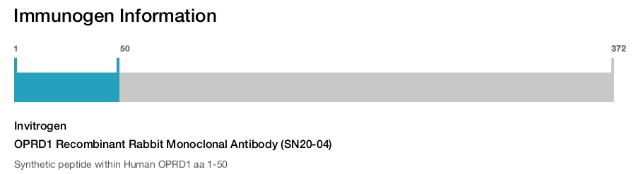 OPRD1 Recombinant Rabbit Monoclonal Antibody (SN20-04)
