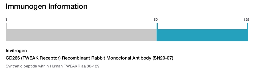 CD266 (TWEAK Receptor) Recombinant Rabbit Monoclonal Antibody (SN20-07)