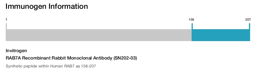 RAB7A Recombinant Rabbit Monoclonal Antibody (SN202-03)