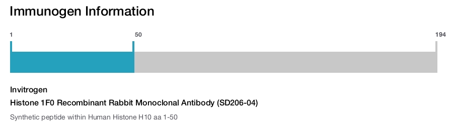 Histone 1F0 Recombinant Rabbit Monoclonal Antibody (SD206-04)