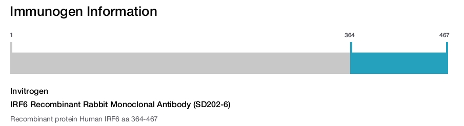 IRF6 Recombinant Rabbit Monoclonal Antibody (SD202-6)