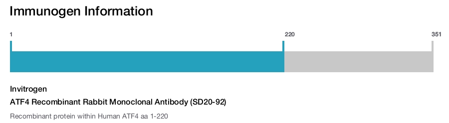 ATF4 Recombinant Rabbit Monoclonal Antibody (SD20-92)