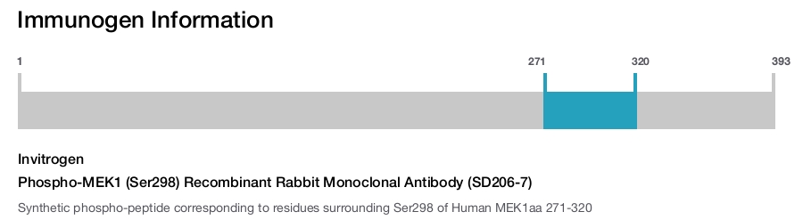 Phospho-MEK1 (Ser298) Recombinant Rabbit Monoclonal Antibody (SD206-7)