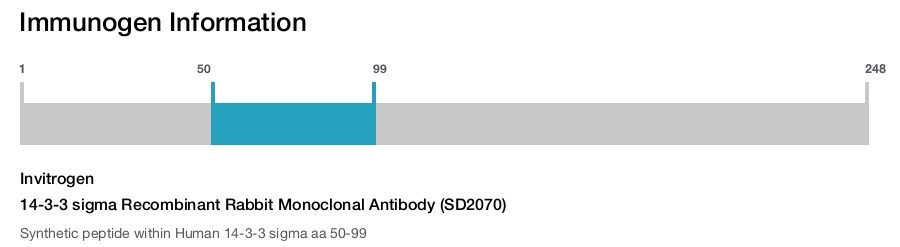 14-3-3 sigma Recombinant Rabbit Monoclonal Antibody (SD2070)