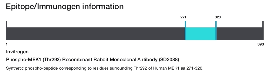 Phospho-MEK1 (Thr292) Recombinant Rabbit Monoclonal Antibody (SD2088)