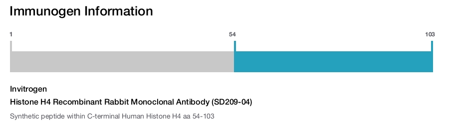 Histone H4 Recombinant Rabbit Monoclonal Antibody (SD209-04)