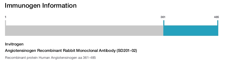 Angiotensinogen Recombinant Rabbit Monoclonal Antibody (SD201-02)