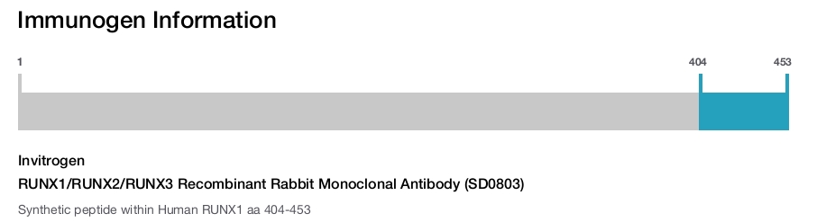 RUNX1/RUNX2/RUNX3 Recombinant Rabbit Monoclonal Antibody (SD0803)