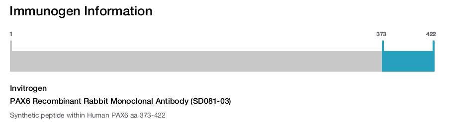 PAX6 Recombinant Rabbit Monoclonal Antibody (SD081-03)