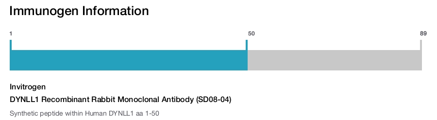 DYNLL1 Recombinant Rabbit Monoclonal Antibody (SD08-04)